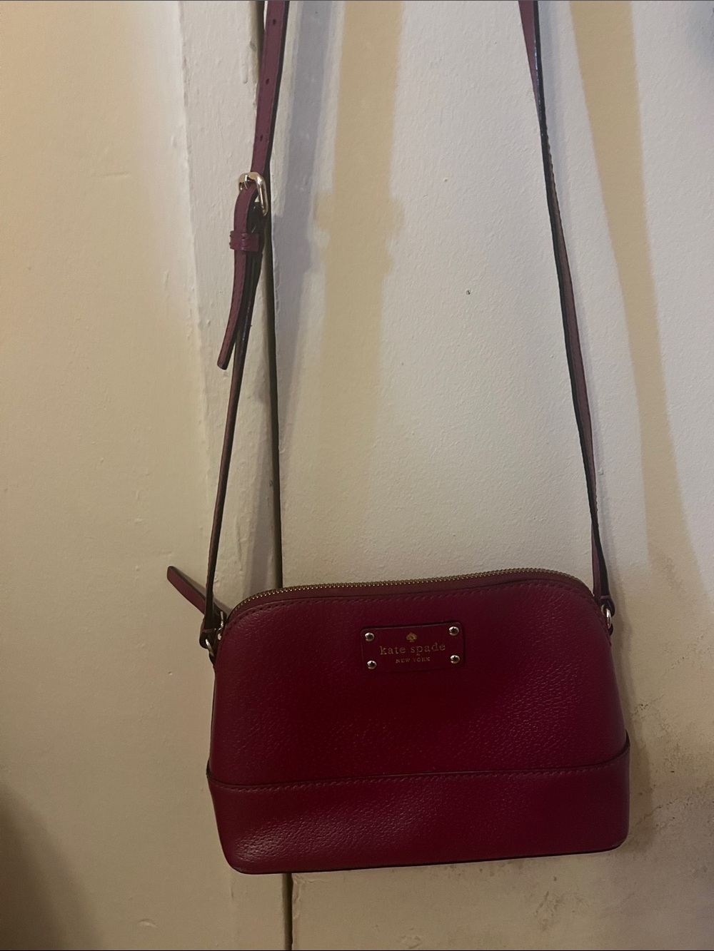 kate spade Leather Crossbody Bag in Deep Red/ Pink